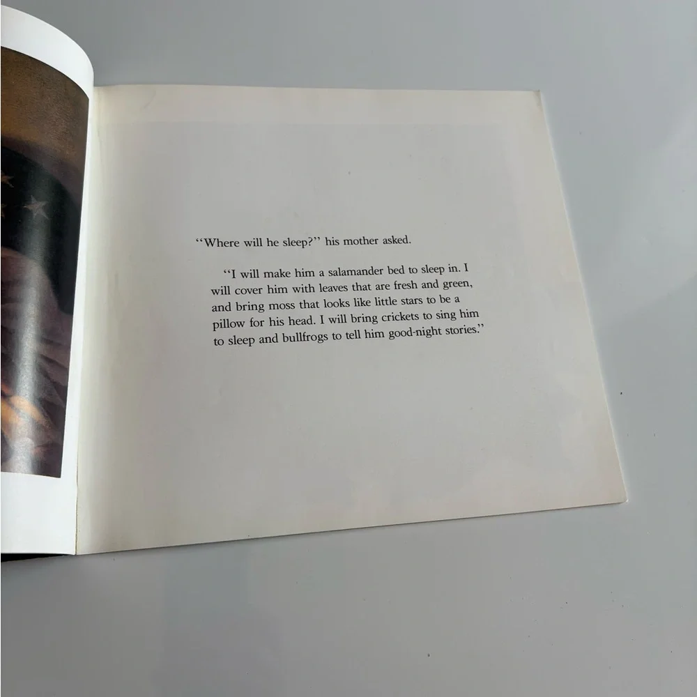 Children's Book Collection (20)